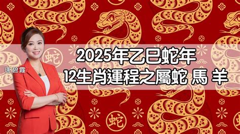 蛇年運程|蘇民峰2025蛇年運程｜12生肖屬蛇、馬、羊、猴財